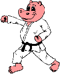 Karate Hippo